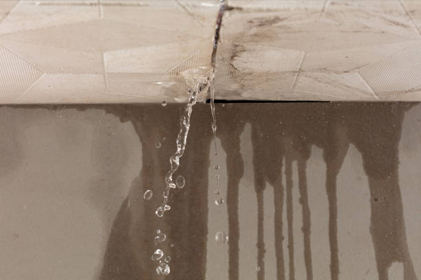 Professional Structural Drying technician working in Weston, CO